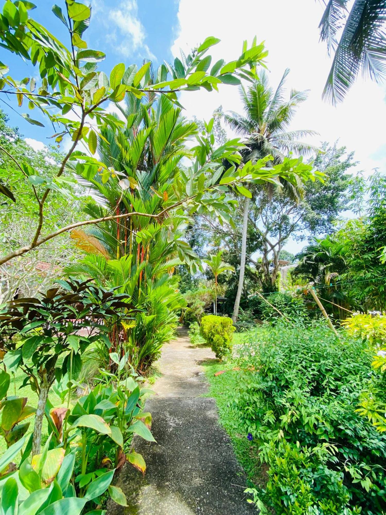 Leijay Resort Galle Buitenkant foto